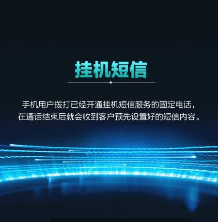 挂機(jī)短信(xin)接口平檯(tai)示例圖